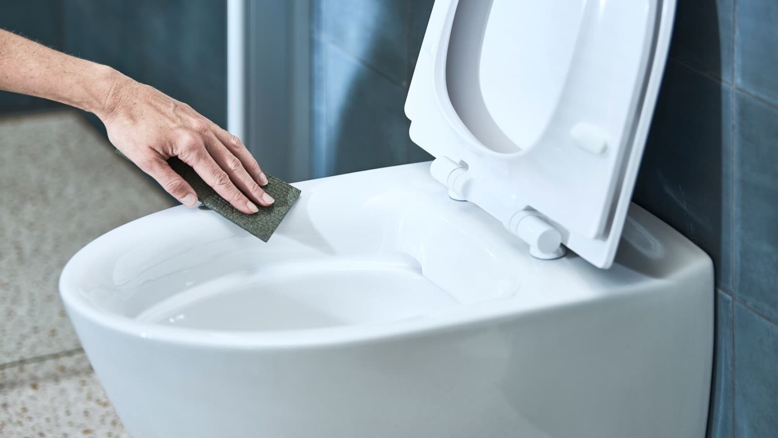 „Ifö“ WC puodas „Ifö“ WC puodas