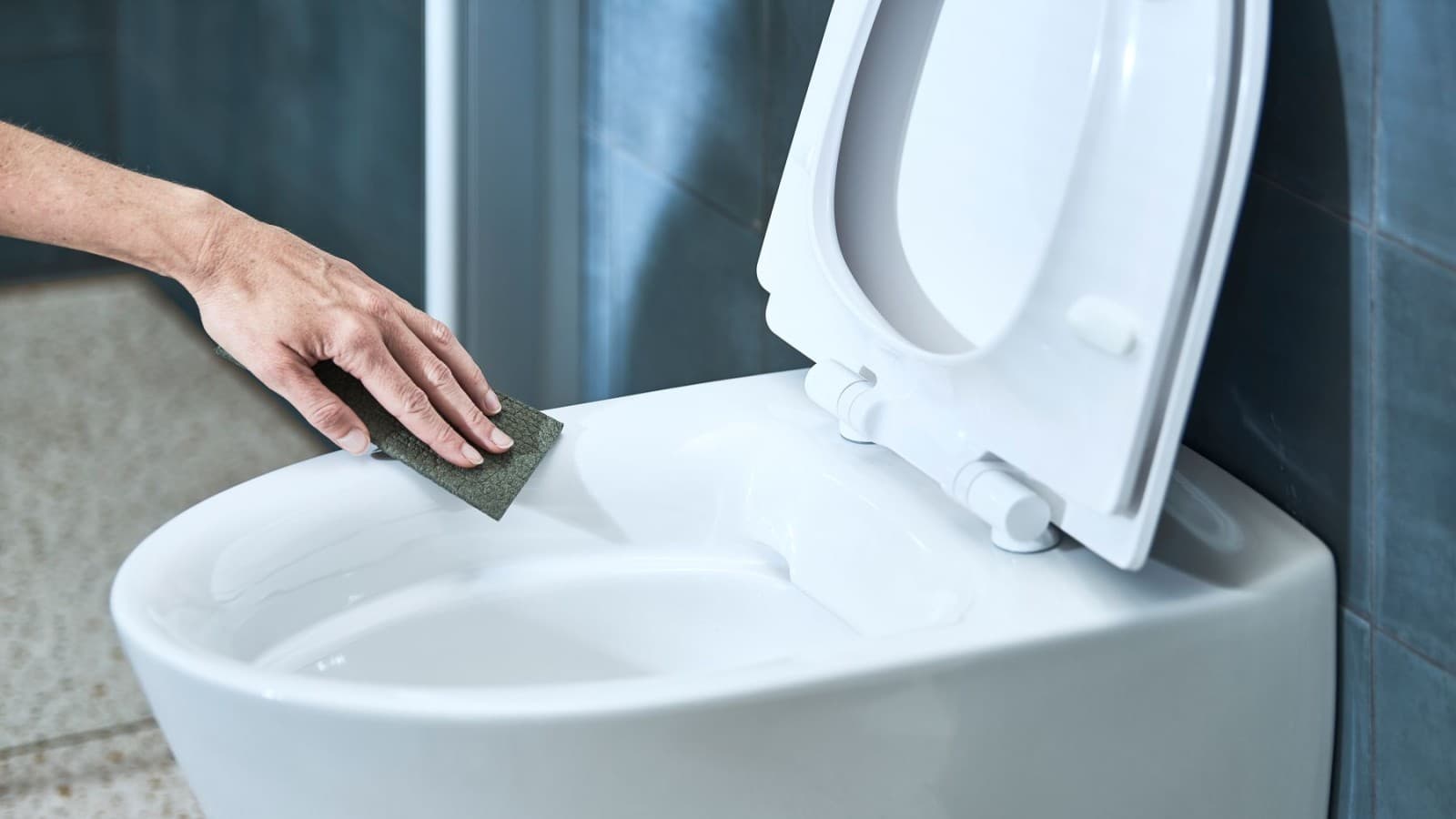 „Ifö“ WC puodas „Ifö“ WC puodas